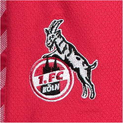 hummel 1. FC K&ouml;ln Ausw&auml;rtsshorts 2023/24 Kinder