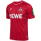 hummel 1. FC Köln Auswärtstrikot 2023/24 Kinder