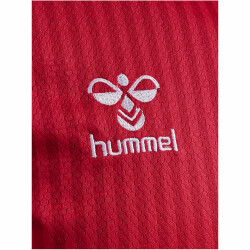 hummel 1. FC Köln Auswärtstrikot 2023/24