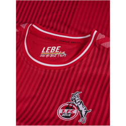 hummel 1. FC Köln Auswärtstrikot 2023/24