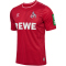 hummel 1. FC Köln Auswärtstrikot 2023/24
