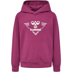 hummel hmlGAIL Hoodie Kinder