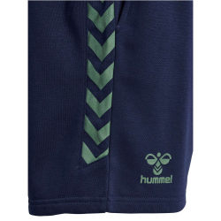 hummel Staltic Shorts Herren