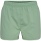 newline Dallas Laufshorts Damen 6144 - green bay S
