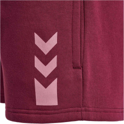 hummel Active Baumwoll Shorts Damen 3070 - burgundy XS