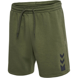 hummel Active Baumwoll Shorts Herren 6453 - olive night L