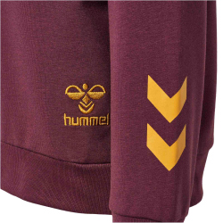 hummel hmlHARRY POTTER Hoodie Jungen 3679 - catawba grape 104