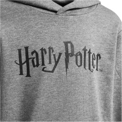 hummel hmlHARRY POTTER Hoodie Jungen 2800 - medium melange 104