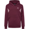 hummel Active Hoodie Kinder 3070 - burgundy 116