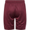 hummel Active Shorts Kinder 3070 - burgundy 116