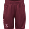 hummel Active Shorts Kinder 3070 - burgundy 152