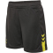 hummel Active Shorts Kinder 2246 - obsidian/sulphur spring 152