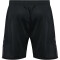 hummel Active Shorts Herren 2001 - black M