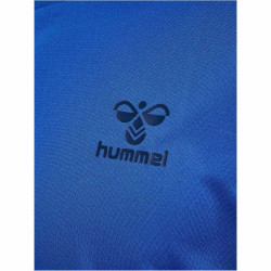 hummel Active Trikot Herren 7251 - princess blue L