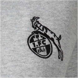 hummel 1. FC Köln LEBE Hoodie Damen 2010 - light...