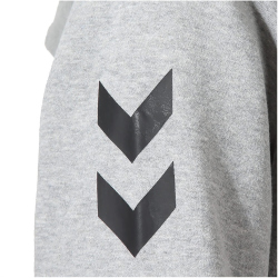 hummel 1. FC Köln LEBE Hoodie Damen 2010 - light...