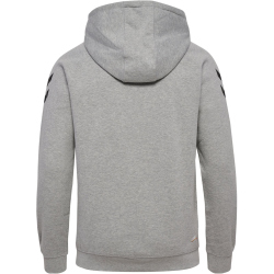 hummel 1. FC K&ouml;ln LEBE Hoodie Herren 2010 - light...