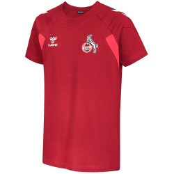 hummel 1.FC Köln Travel Shirt 2023/24 Kinder 3079 -...