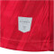 hummel 1. FC Köln Aufwärmtrikot 2023/24 3062 - true red S