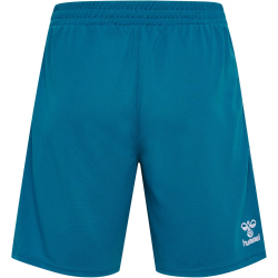 hummel 1. FC Köln Torwartshorts 2023/24 8745 -...