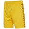 hummel 1. FC Köln Torwartshorts 2023/24 5078 - dandelion S