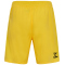 hummel 1. FC Köln Torwartshorts 2023/24 5078 - dandelion S