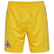 hummel 1. FC Köln Torwartshorts 2023/24 5078 - dandelion S