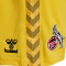hummel 1. FC Köln Torwartshorts 2023/24 5078 - dandelion S