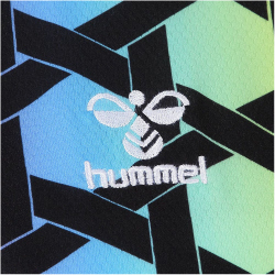hummel 1. FC K&ouml;ln Torwarttrikot 2023/24 Kinder 7995...