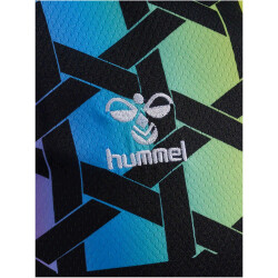 hummel 1. FC Köln Torwarttrikot 2023/24 7995 - multi colour S