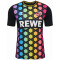 hummel 1. FC Köln Torwarttrikot 2023/24 7995 - multi colour S