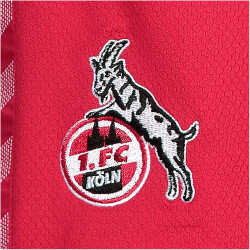 hummel 1. FC Köln Auswärtsshorts 2023/24 Kinder 3062 - true red 116