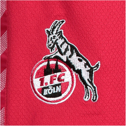 hummel 1. FC K&ouml;ln Ausw&auml;rtsshorts 2023/24 3062 - true red XS