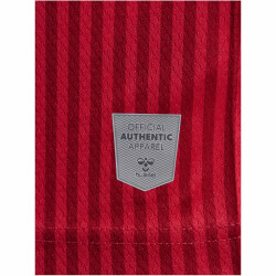 hummel 1. FC Köln Auswärtstrikot 2023/24 3062 - true red S