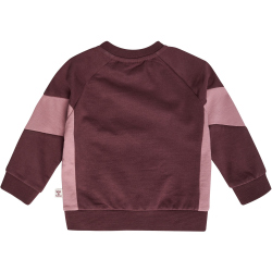 hummel hmlKRIS Sweatshirt Kinder 3679 - catawba grape 56