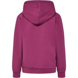 hummel hmlGAIL Hoodie Kinder 3171 - dry rose 104/110