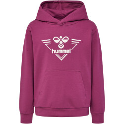 hummel hmlGAIL Hoodie Kinder 3171 - dry rose 104/110