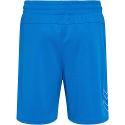 hummel hmlTE FLEX Mesh Shorts Herren 7169 - daphne S
