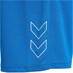 hummel hmlTE FLEX Mesh Shorts Herren 7169 - daphne S