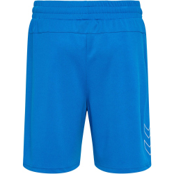 hummel hmlTE FLEX Mesh Shorts Herren 7169 - daphne M
