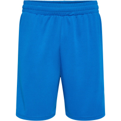 hummel hmlTE FLEX Mesh Shorts Herren 7169 - daphne M