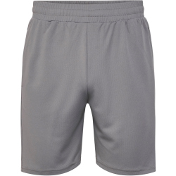 hummel hmlTE FLEX Mesh Shorts Herren 2858 - sharkskin S