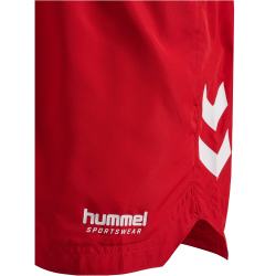 hummel hmlGC NED Badeshorts Herren 3658 - barbados cherry M