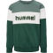 hummel hmlCLAES Sweatshirt Jungen 6041 - pineneedle 104
