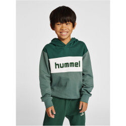 hummel hmlMORTEN Hoodie Jungen 6041 - pineneedle 116