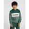 hummel hmlMORTEN Hoodie Jungen 6041 - pineneedle 116