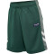 hummel hmlRUPHUS Shorts Jungen 6041 - pineneedle 104