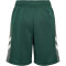 hummel hmlRUPHUS Shorts Jungen 6041 - pineneedle 104