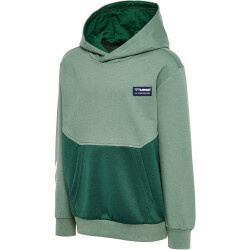hummel hmlEDDY Hoodie Jungen 6575 - laurel wreath 104
