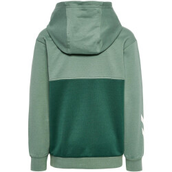 hummel hmlEDDY Hoodie Jungen 6575 - laurel wreath 104